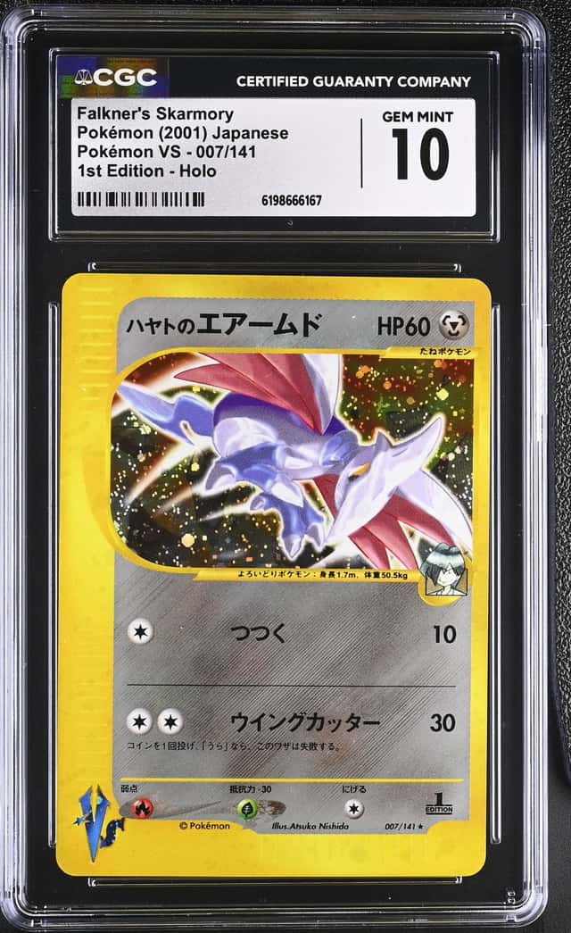Falkner's Skarmory