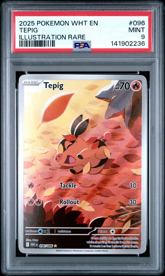 Tepig