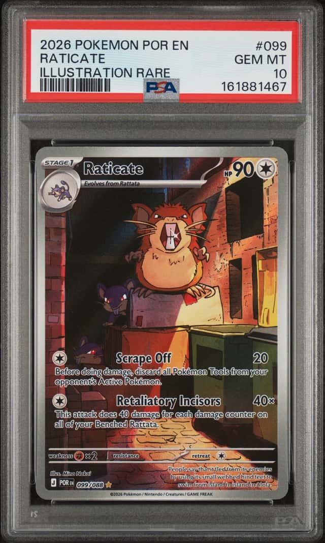 Raticate