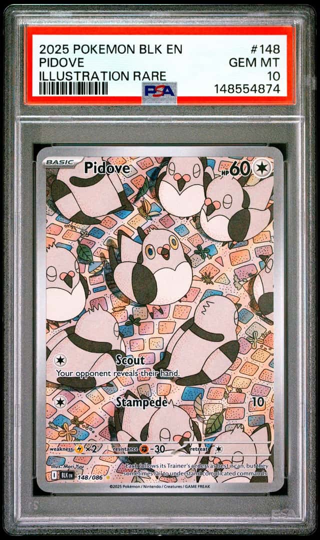Pidove