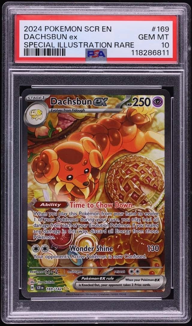DACHSBUN ex