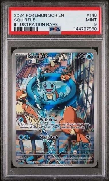 Squirtle PSA 9 Stellar Crown 148/142 Illustration Rare 2024 Pokemon TCG