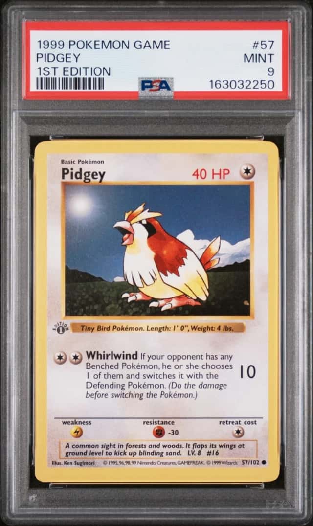 Pidgey