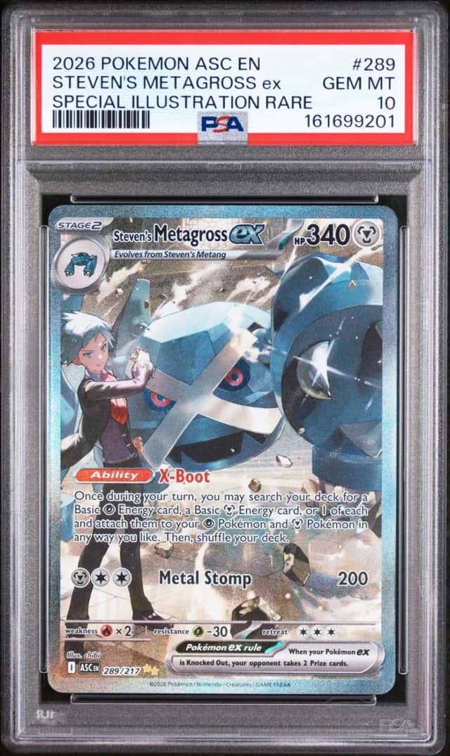 STEVEN'S METAGROSS ex