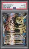 M Steelix Ex