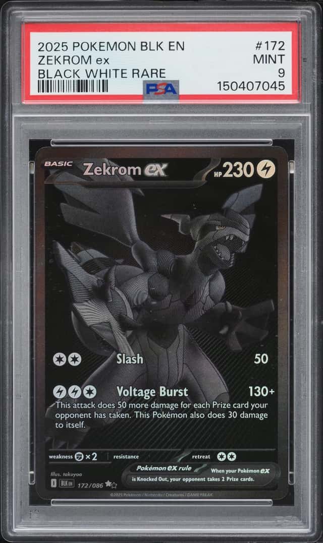 ZEKROM ex