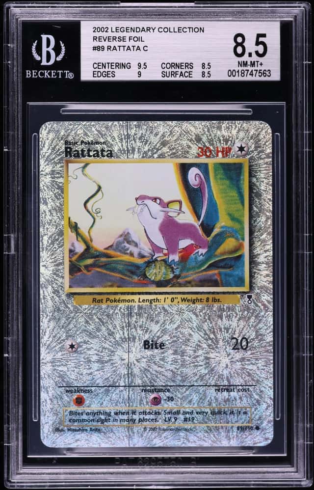 Rattata