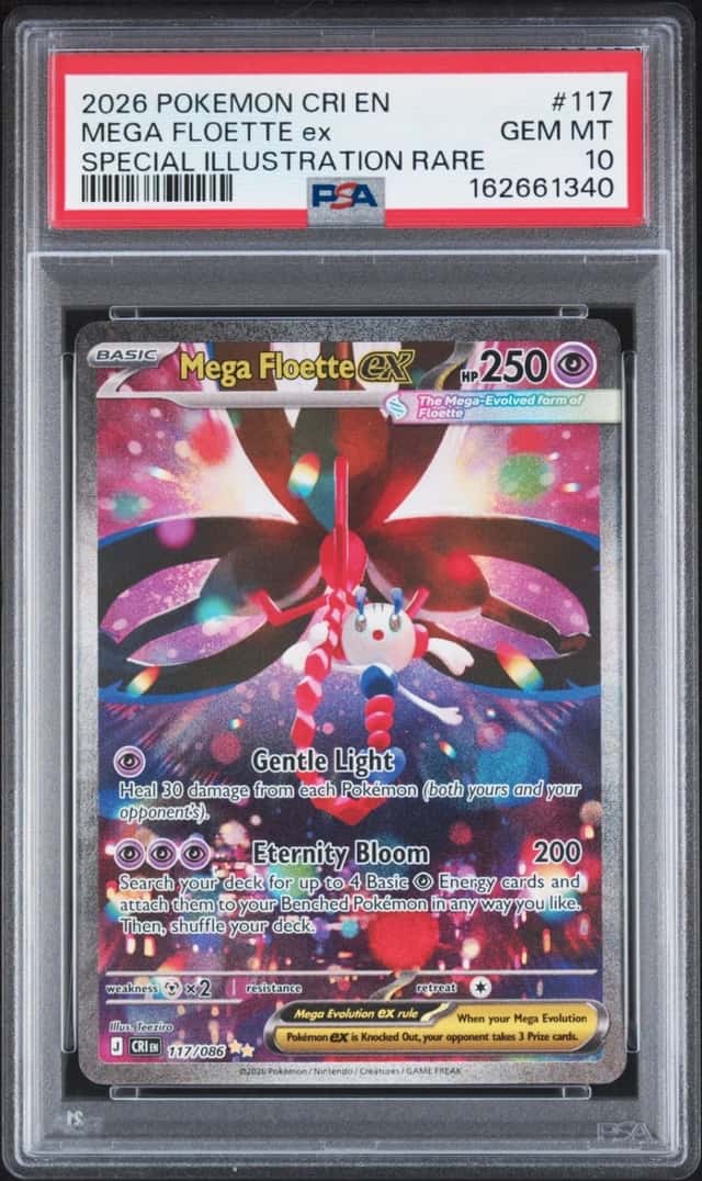 MEGA FLOETTE ex