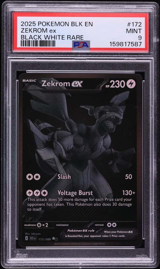 ZEKROM ex