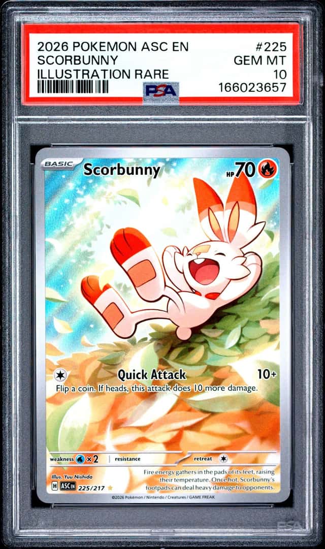 Scorbunny