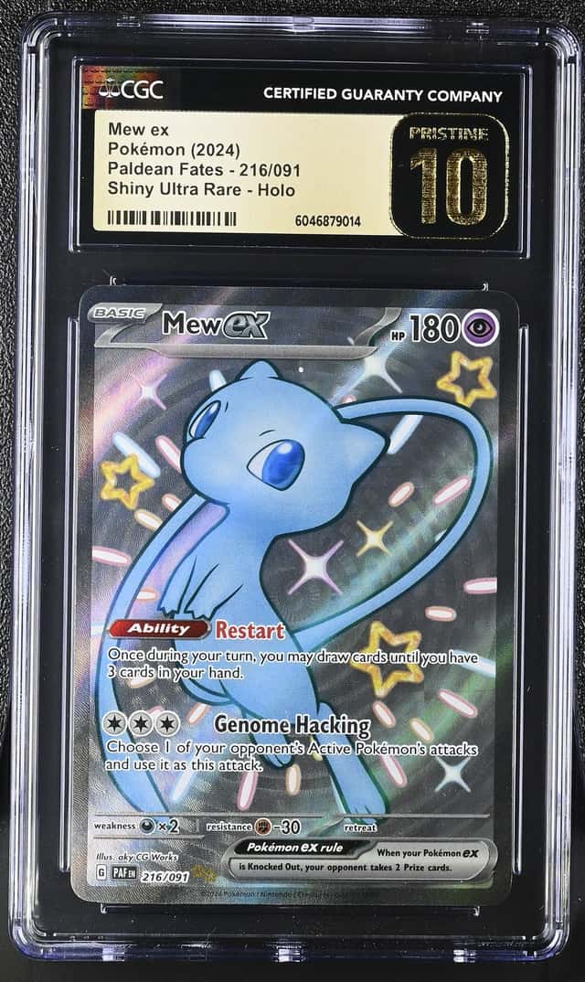 MEW ex