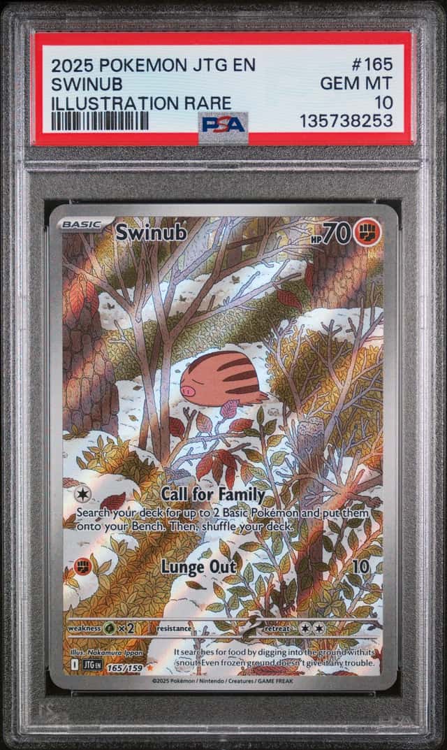 Swinub