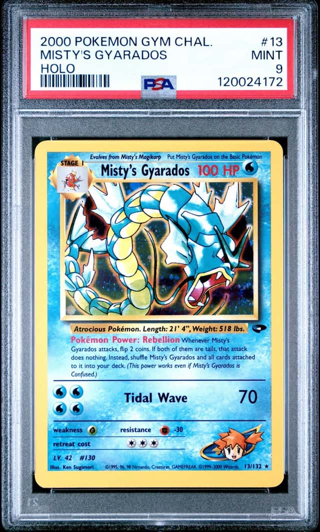 Misty's Gyarados