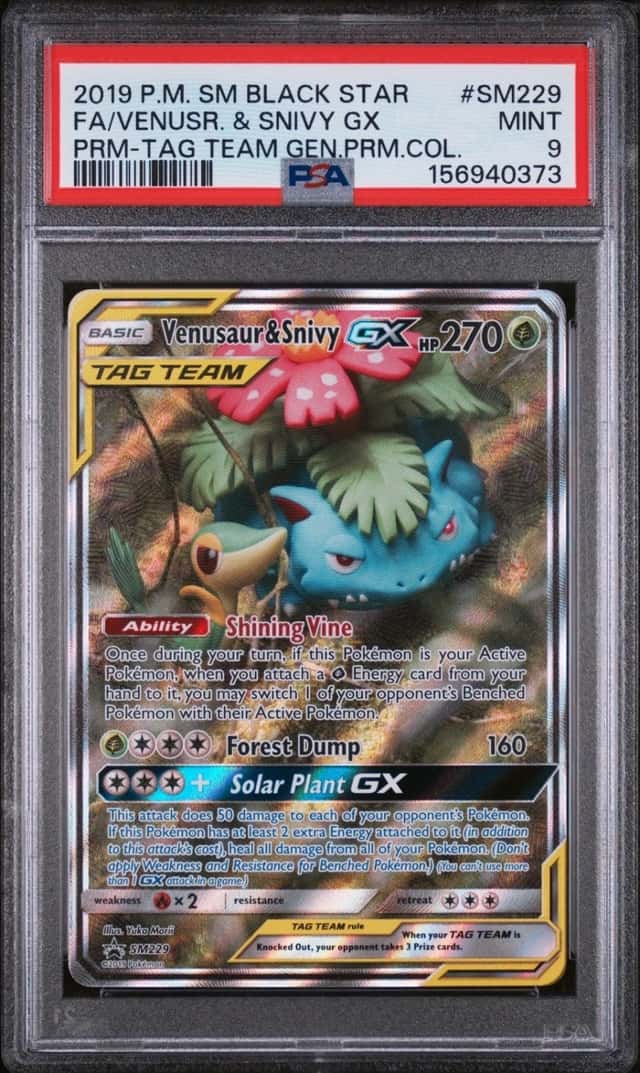 Venusaur & Snivy GX