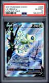 Celebi V
