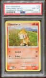 Chimchar