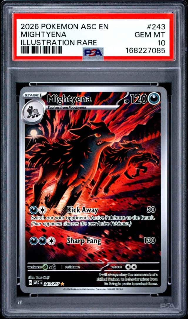 2026 POKEMON ASC EN-ASCENDED HEROES ILLUSTRATION RARE #243 MIGHTYENA PSA 10