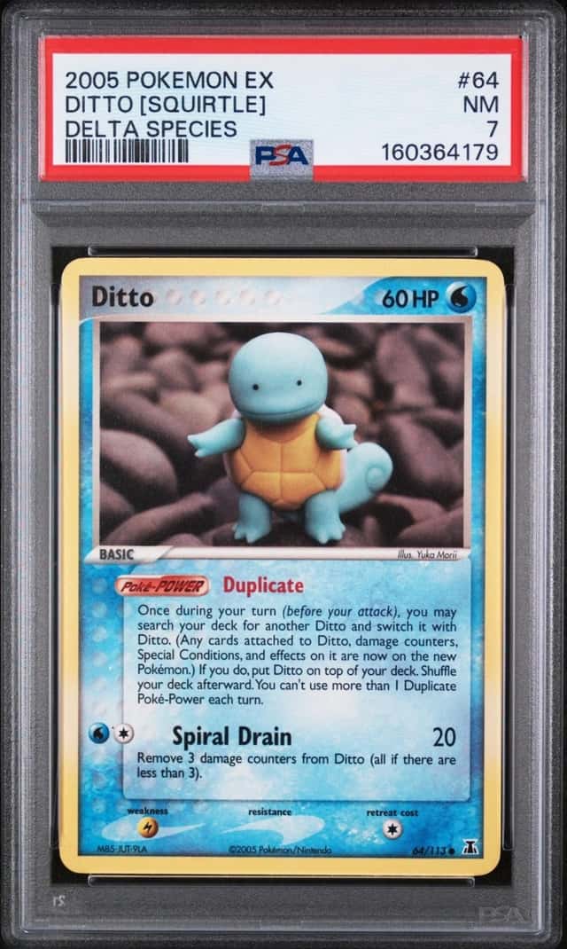 Ditto [Squirtle]