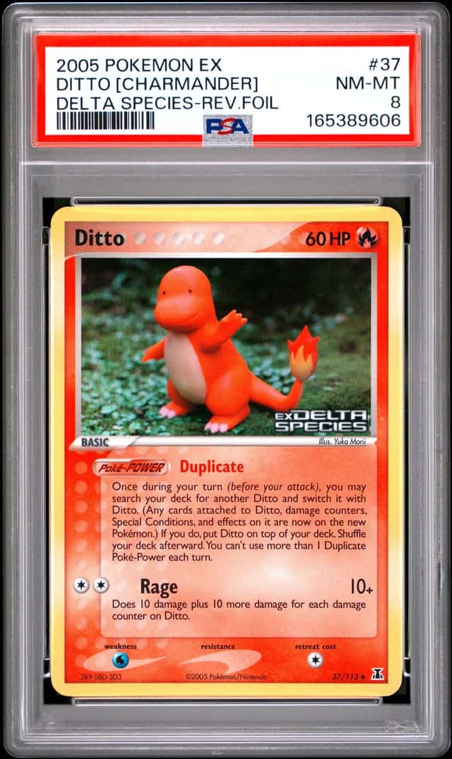 Ditto [Charmander]