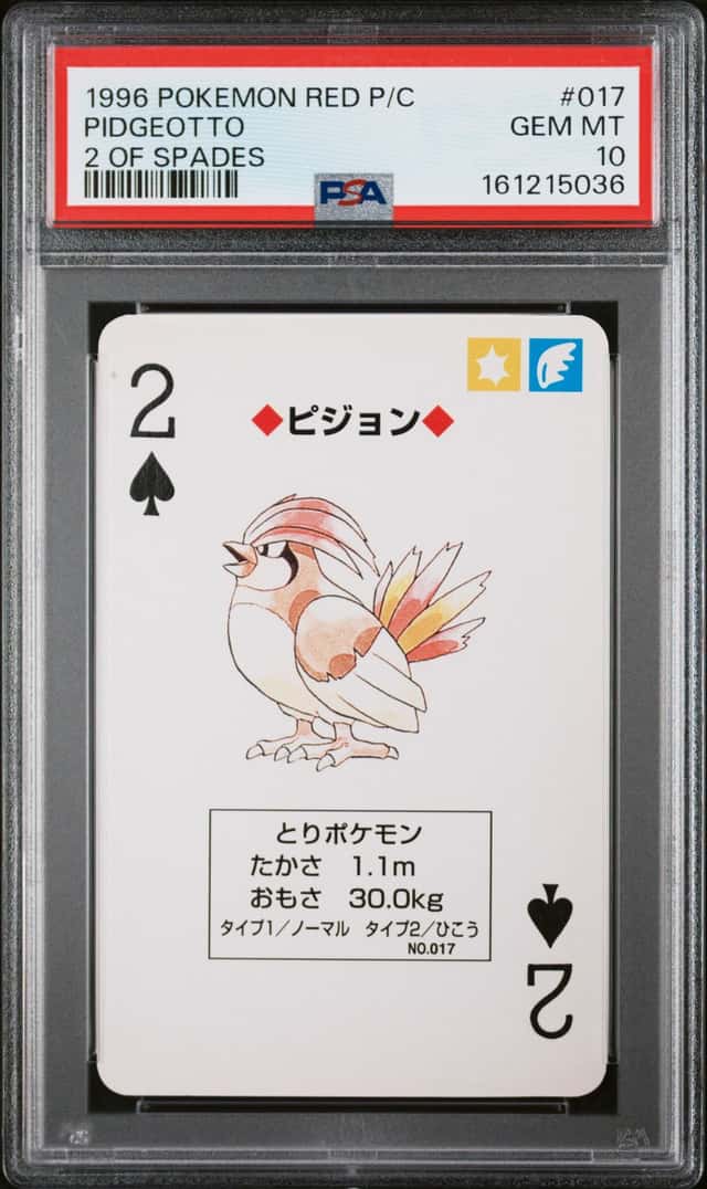 Pidgeotto