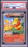 Torchic