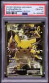 Pikachu Ex