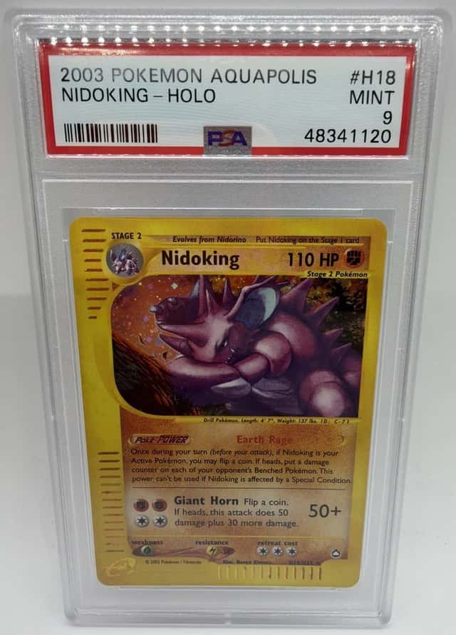 Nidoking