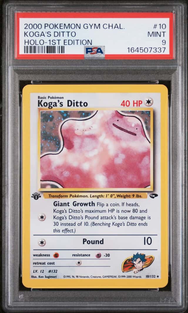 Koga's Ditto