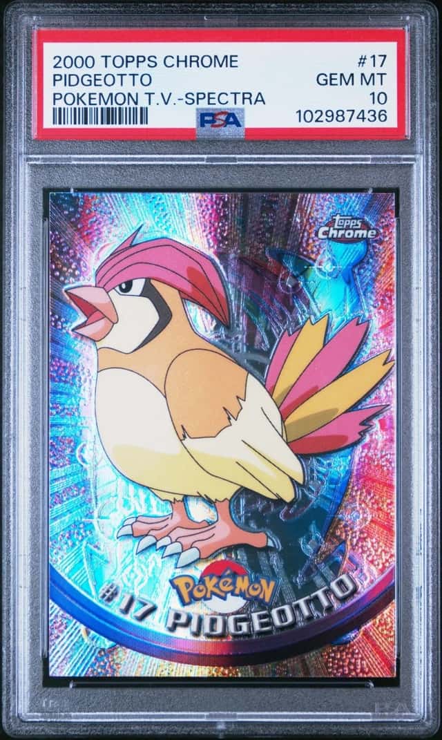 Pidgeotto