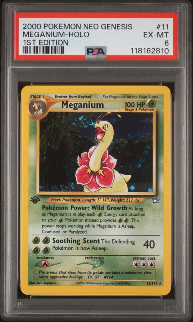 Meganium