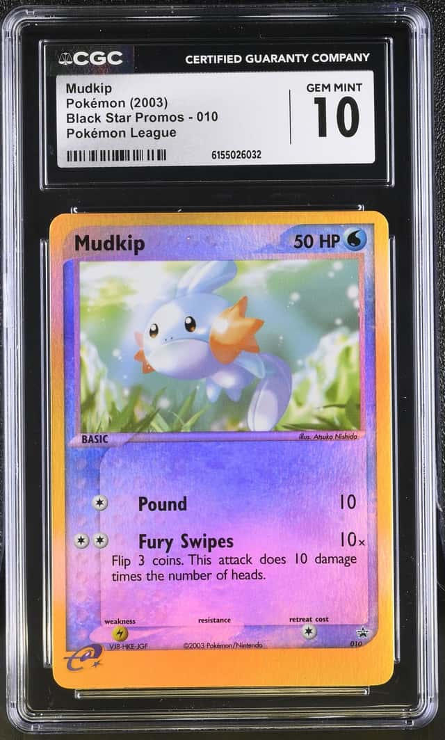 Mudkip