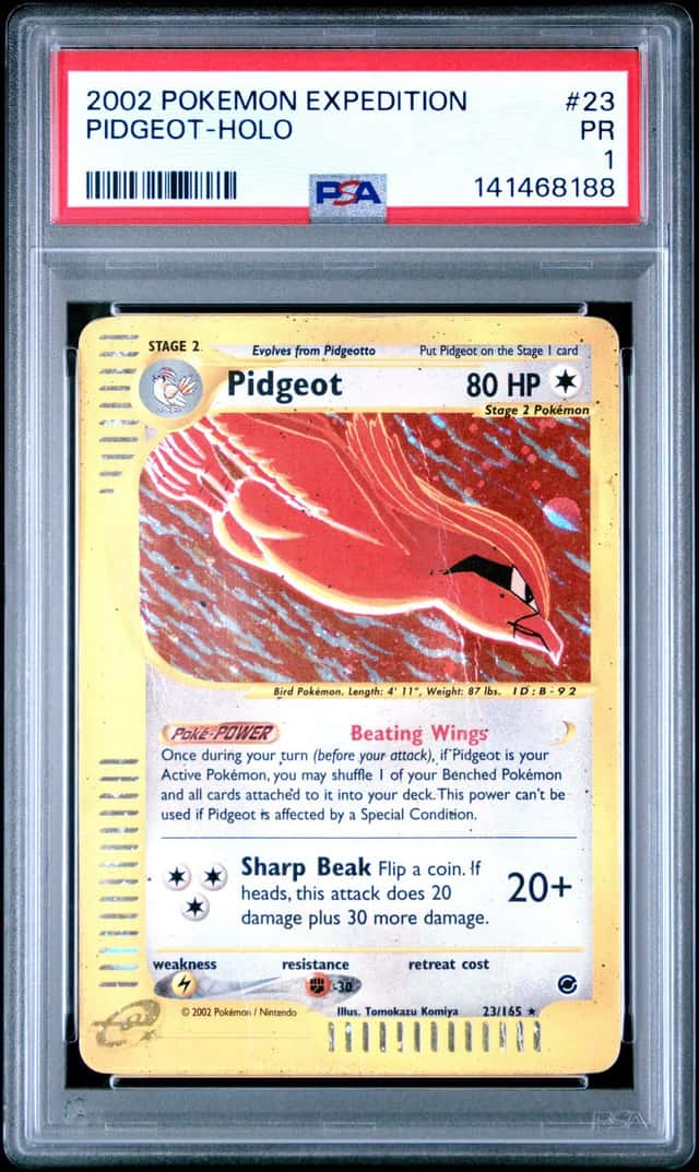 Pidgeot