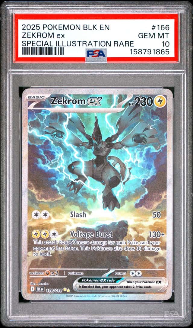 ZEKROM ex