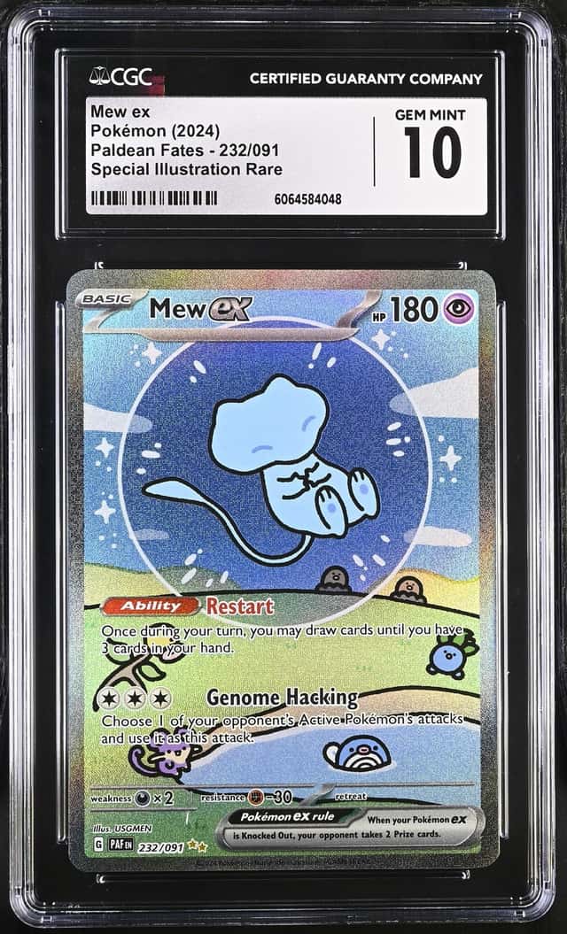 MEW ex