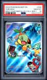Turtwig
