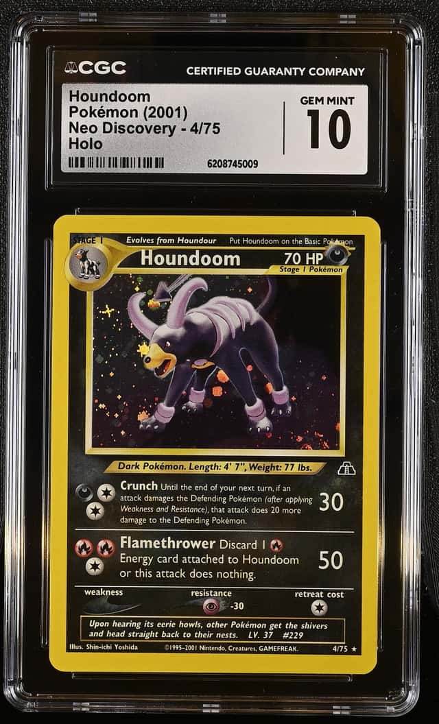 Houndoom