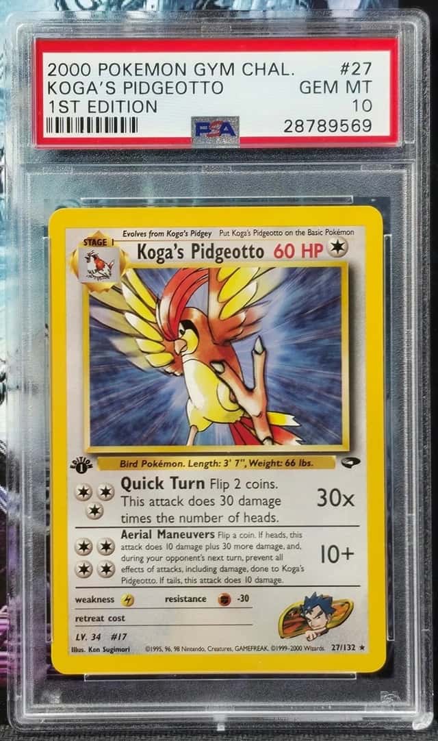 Koga's Pidgeotto