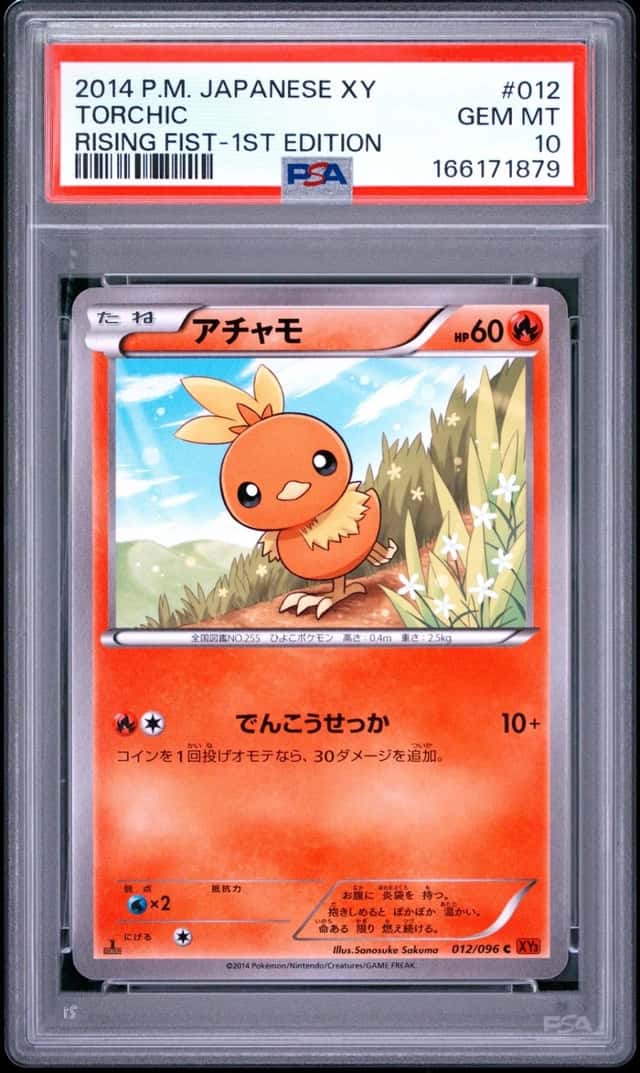 Torchic