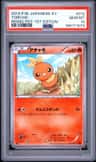 Torchic