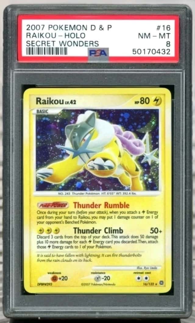 Raikou