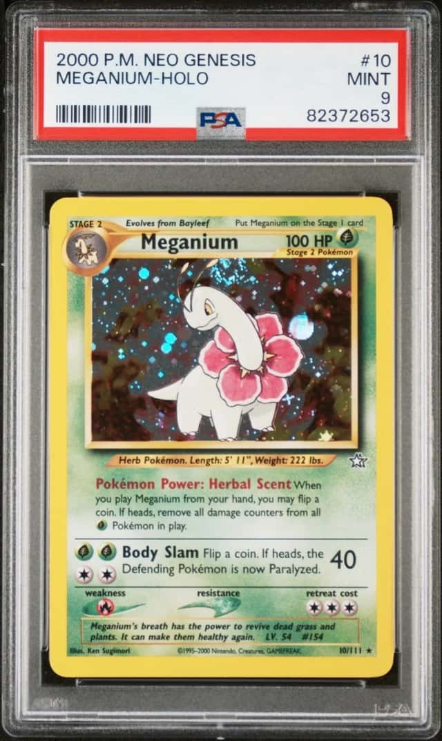 Meganium