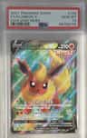 Flareon V