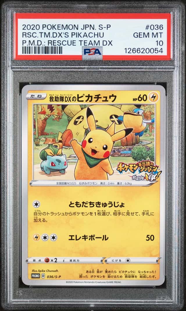 Rescue Team Dx's Pikachu