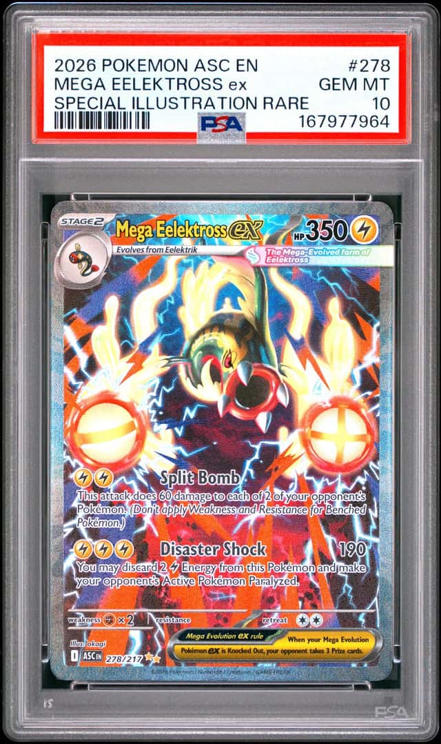 MEGA EELEKTROSS ex