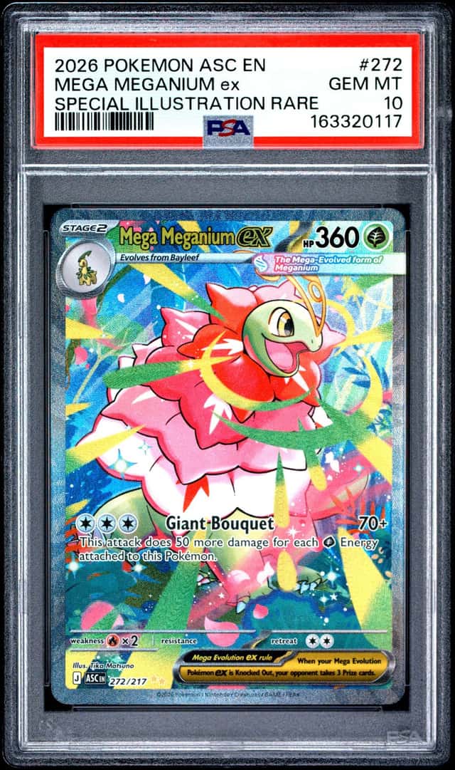 MEGA MEGANIUM ex