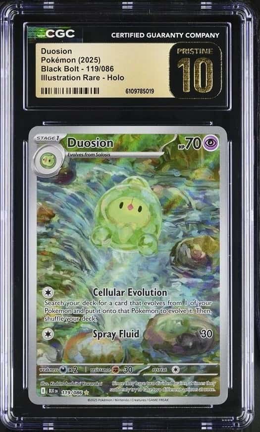 Duosion