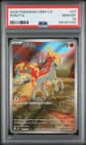 Ponyta