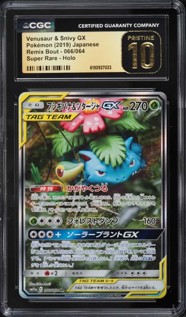 Venusaur & Snivy GX