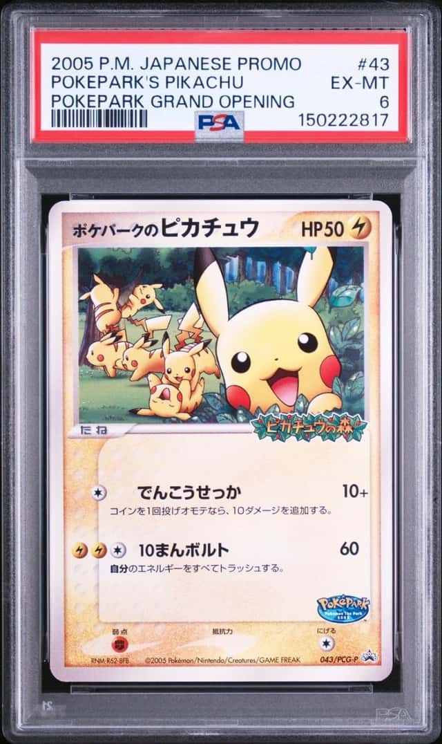 PokePark's Pikachu