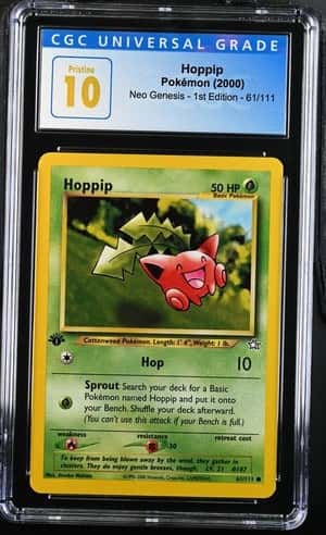 Hoppip